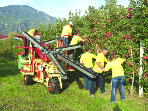 מכונת קטיף Zucal Z11